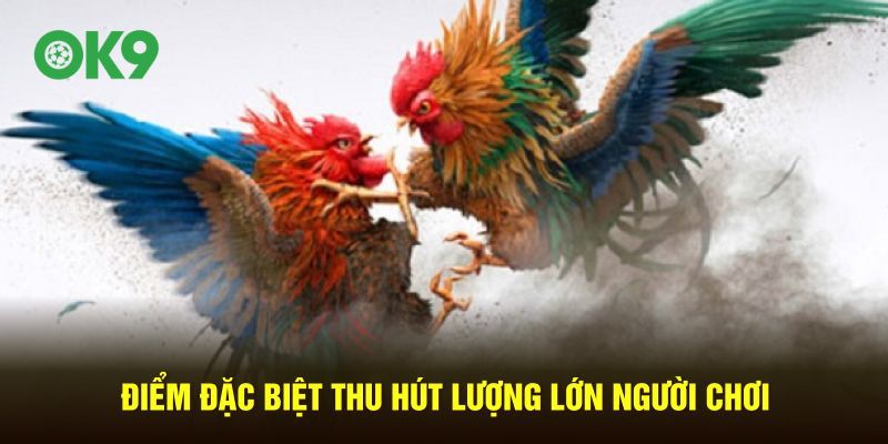 Điểm khác biệt thu hút lượng lớn người chơi